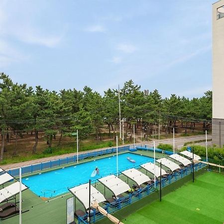 Mung&Surf Hotell Gangneung Eksteriør bilde