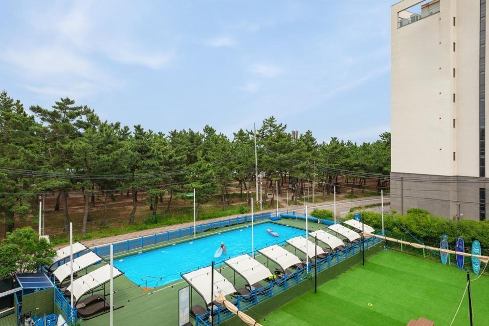 Mung&Surf Hotell Gangneung Eksteriør bilde